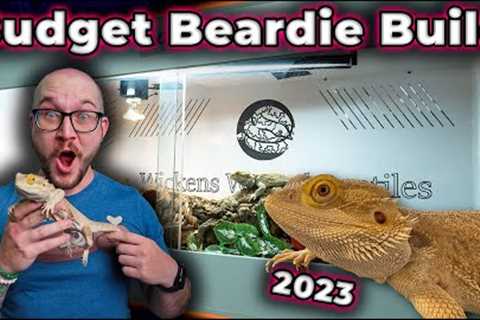 The Perfect Bearded Dragon Enclosure Setup for ANY Budget!