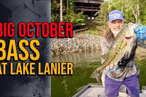 Big October Bass At Lake Lanier