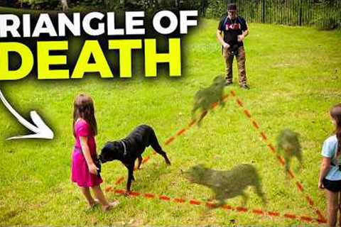 Teach Your Dog to COME to you EVERYTIME! Perfect Recall Training