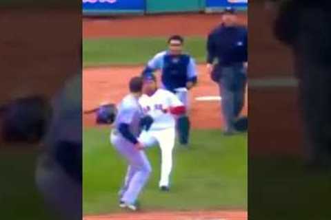 Cold MLB fight photo🥶