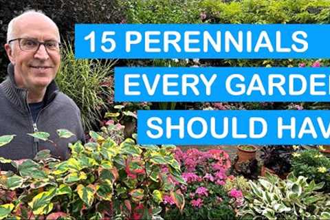 15 PERENNIALS EVERY GARDEN SHOULD GROW – COLOUR FROM FLOWERS &amp; FOLIAGE: POTS &amp; BEDS THROUGH ..