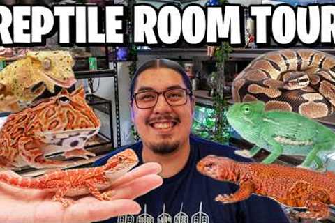 Reptile Room Tour! Pet Room