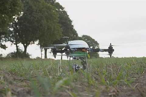 Better farming with drones
