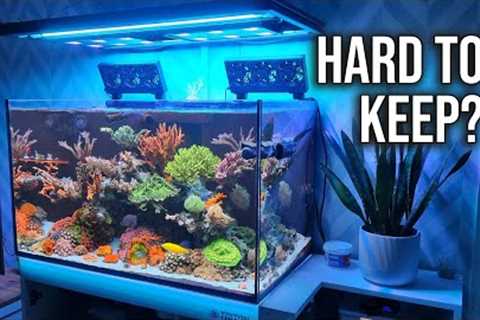 Keeping A Saltwater Aquarium Is EASY! Reef Tank Maintenance