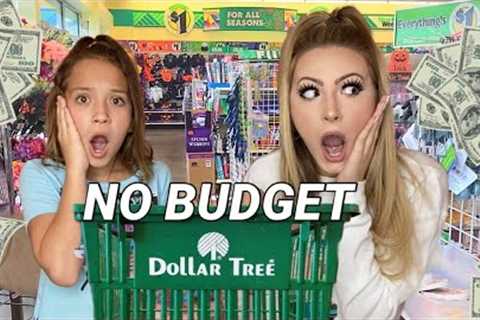 NO BUDGET 💵 DOLLAR TREE SHOPPING SPREE! 🤑