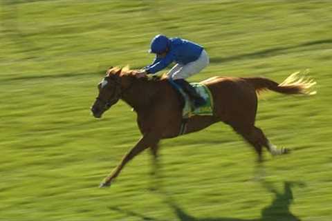 Impressive! Verse Of Love makes winning start at Newmarket