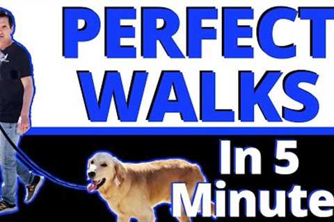 This ONE Change will Improve your Walks Guaranteed - 99% of People are getting this Wrong.