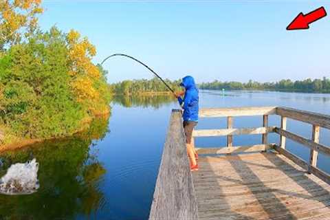 This Pier Catch &amp; Cook Will Upset Someone!