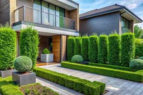 Modern Small Front Yard Landscaping Ideas | Beautiful Outdoor Space with Limited Square Footage