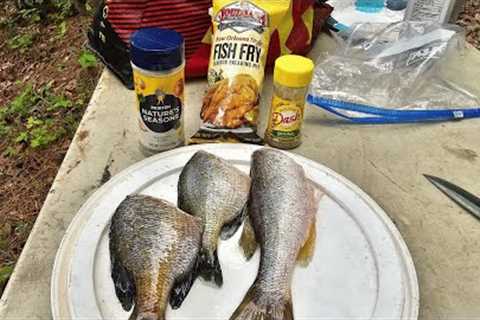 FRESH FISH Next to the Water! Catch Clean Cook Bluegill!