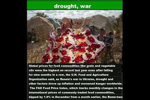 Global food prices in 2022 hit record high amid drought, war|#shorts