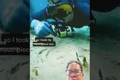 This video got 34 million views #scubaaddict #underwater #diving #scubadiving