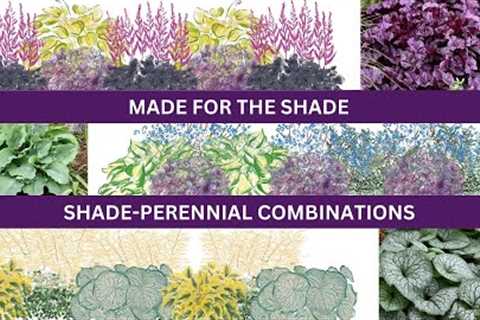 Landscape Design Ideas-Shade Perennial Combos