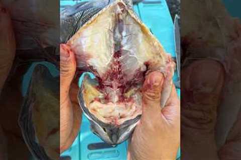 Grilled Whole Fish for Family Dinner! Catch and Cook #fishing #shorts