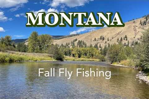Fall Fly Fishing in MONTANA:  Streamers, Dry-Dropper, and Nymphing Success