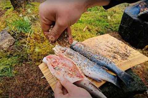 The PERFECT Smoked Fish in the Wilderness | Relaxing Cooking with ASMR