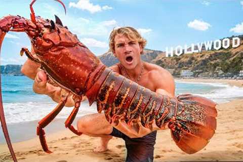 Giant Lobster Catch and Cook In The City