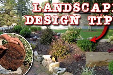 Landscaping Design 101 | Planting & Lighting Tips