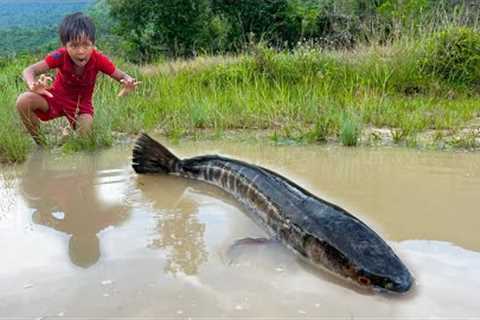 Survival Skills In Forest: SIMPLE and USEFUL With Big Fish In The Forest