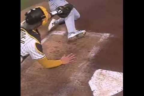 Best view on the field goes to ...