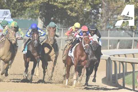 Belmont at the Big A Simulcast - October 13, 2024