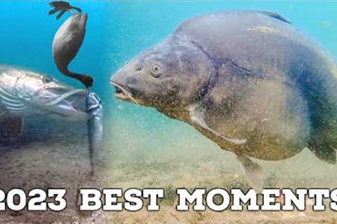 Best Underwater Fishing Compilation 2023 (4K Quality)