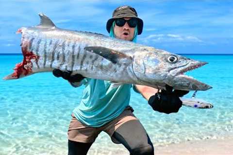 Survival Catch and Cook on Monster Fish Island Day 3