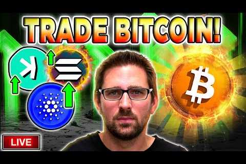 Is This the Real Bitcoin Pump?!