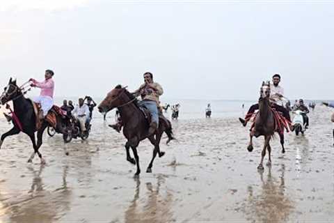 Horse Rewal Chal Racing at Mandvi Beach 2024