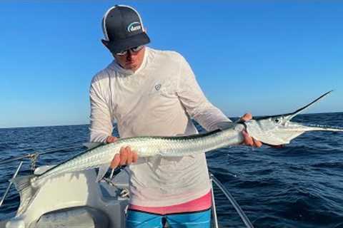 MASSIVE *NEEDLE FISH* Catch Clean &amp; Cook (Cabo,Mexico)