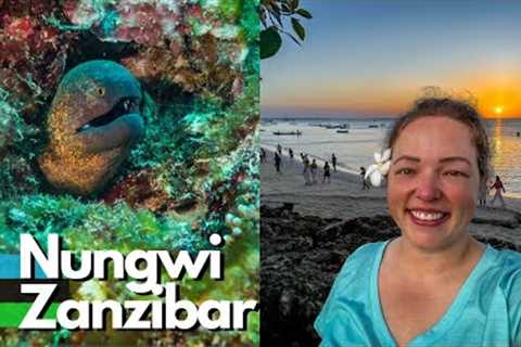 Scuba Diving In Nungwi Zanzibar for a WEEK! Tips/tricks for Diving in Tanzania