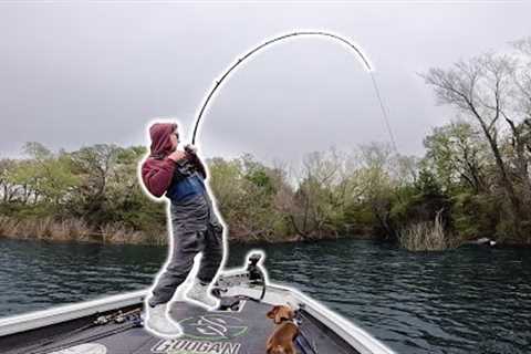 Hunting Down Fish In a Lake I've NEVER FISHED! -- (Fishing a NEW LAKE)