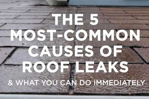 The Five Most–Common Causes of Roof Leaks – And What You Can Do