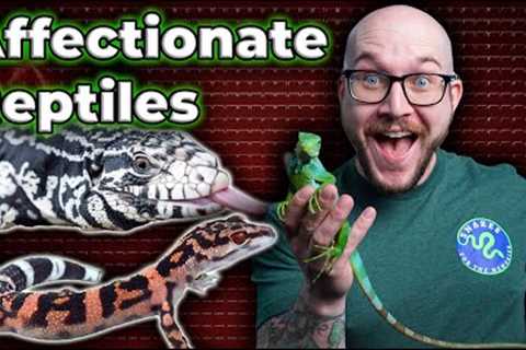 Do Reptiles Really Love You? | Top 5 Most Affectionate Pet Reptiles!