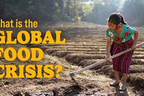 What is the Global Food Crisis and How Can We Help?
