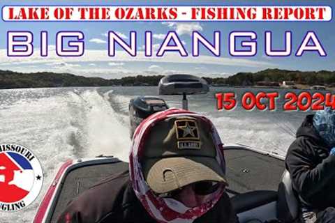 Lake of the Ozarks Bass Fishing - 15 Oct 2024 | Fishing report