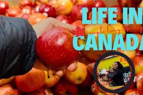 Life in Canada: Grocery Shopping on a Budget, Mini Gym Workout, and Baking | Simple Living