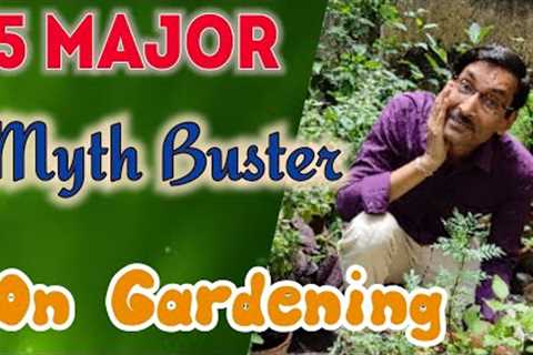 5 Major Myth Buster on Gardening, Gardening tips💡