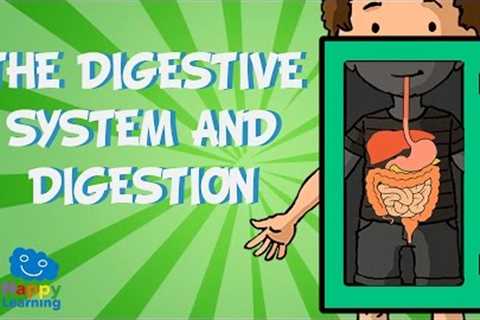 The digestive system and digestion | Educational Video for Kids