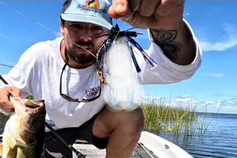 SUMMER BEAT DOWN!                                   BASS FISHING LAKE OKEECHOBEE