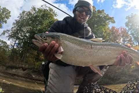 The Run has Begun | Fly Fishing for Lake Erie Steelhead (Pennsylvania)