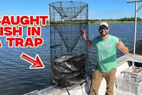 Catching Fish in a Trap (CATCH AND COOK)
