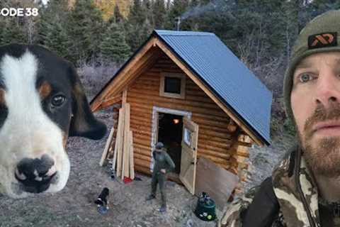 Log Cabin Build on Off-Grid Homestead |EP38| DOG, MOVE-IN, WOODSHED FOUNDATION