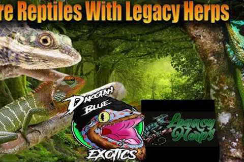 Youve Never Heard Of These Reptiles Before! Talking Rare Reptiles With Legacy Herps