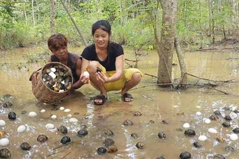 Survival in the rainforest, Pick egg and snail for food in jungle, Cooking egg with snail for dinner