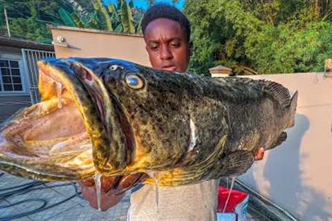 CATCH, CLEAN AND COOK MONSTER FISH FROM THE DEEP!