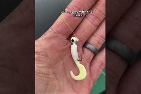 How do you know Which Lure to Use?