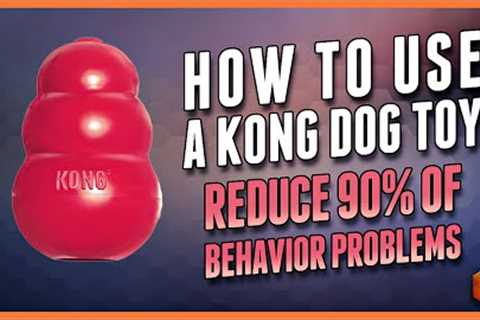 The Surprising Way Kong Toys Can CHANGE Your Dog's Life