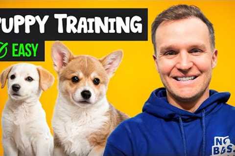 Puppy TRAINING - The FIRST 3 Things To Teach Any Puppy!