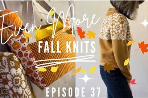 More Fall Knits &amp; Yarn | Autumn Alpine | Knitting Book Review #fashionover50